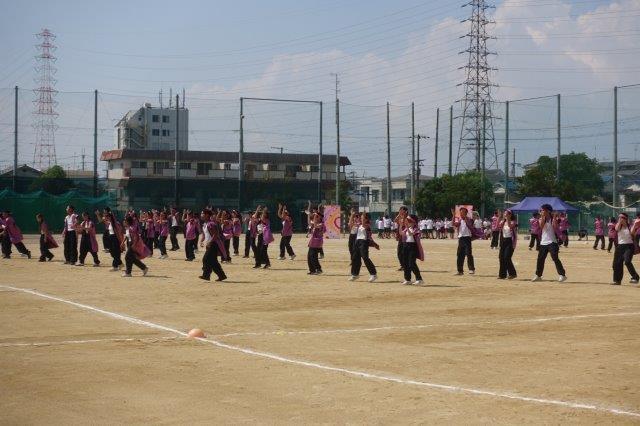 DSC09816.jpg