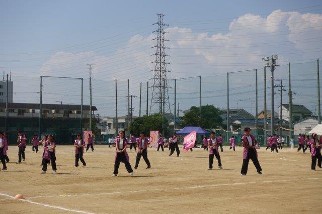 DSC09824.jpg