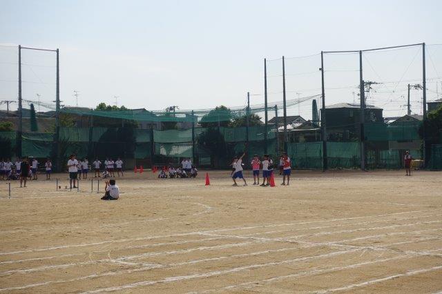 DSC09846.jpg