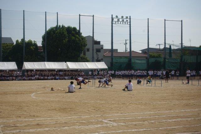 DSC09847.jpg