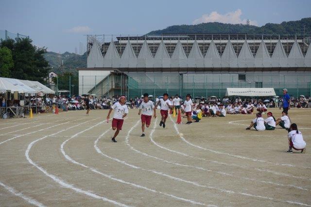 DSC09915.jpg