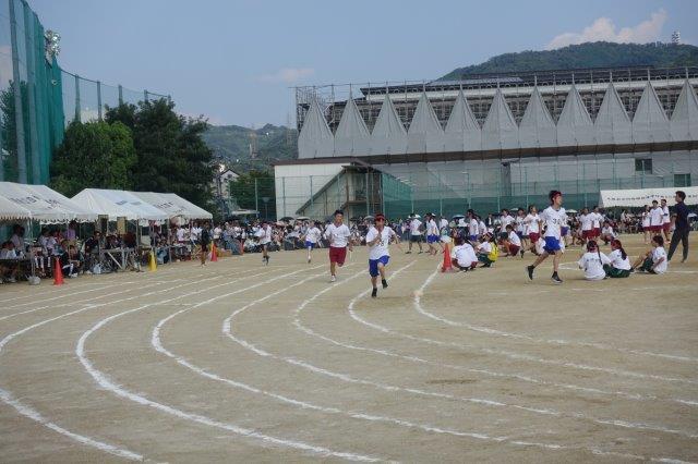 DSC09919.jpg