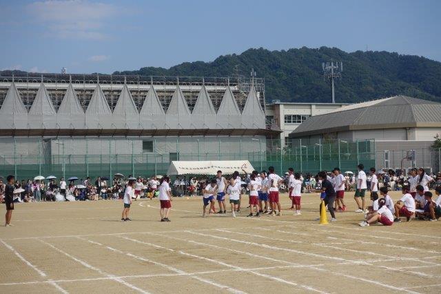DSC09925.jpg