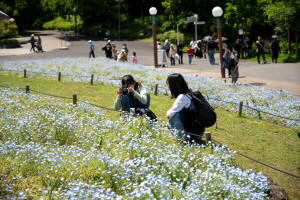 YR_02115.jpg