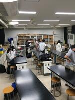 IMG_7945.jpeg