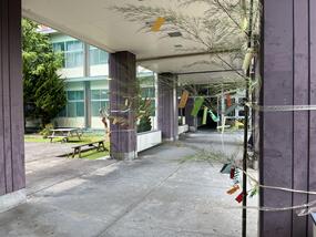 IMG_7833.jpg