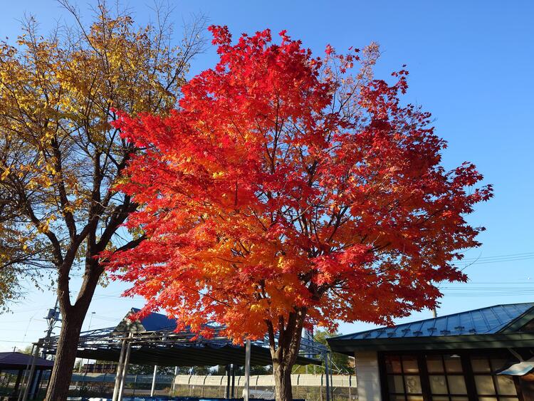 20231025_150156.JPG