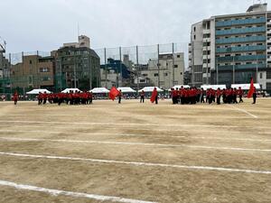 IMG_7906.JPG