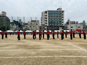 IMG_7909.JPG