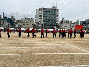 IMG_7911.JPG