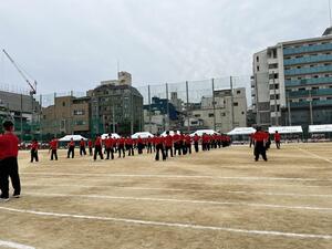 IMG_7915.JPG