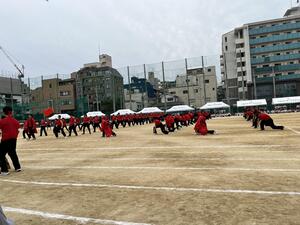 IMG_7917.JPG