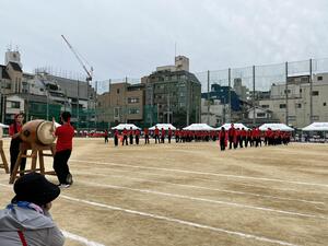 IMG_7919.JPG