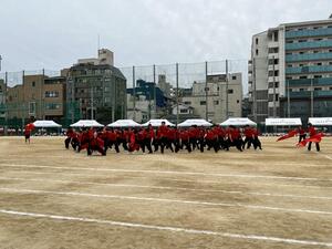 IMG_7921.JPG