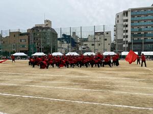 IMG_7922.JPG
