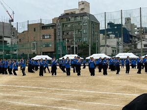 IMG_7925.JPG