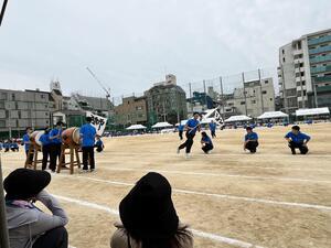 IMG_7926.JPG