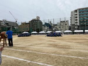 IMG_7928.JPG