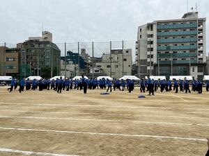 IMG_7935.JPG