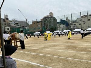 IMG_7939.JPG