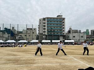 IMG_7941.JPG