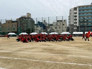 IMG_7923.JPG