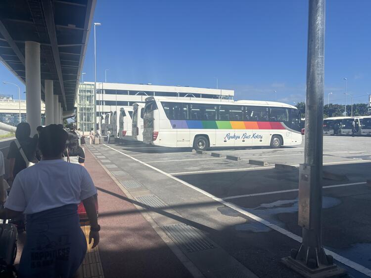 IMG_7335.jpeg