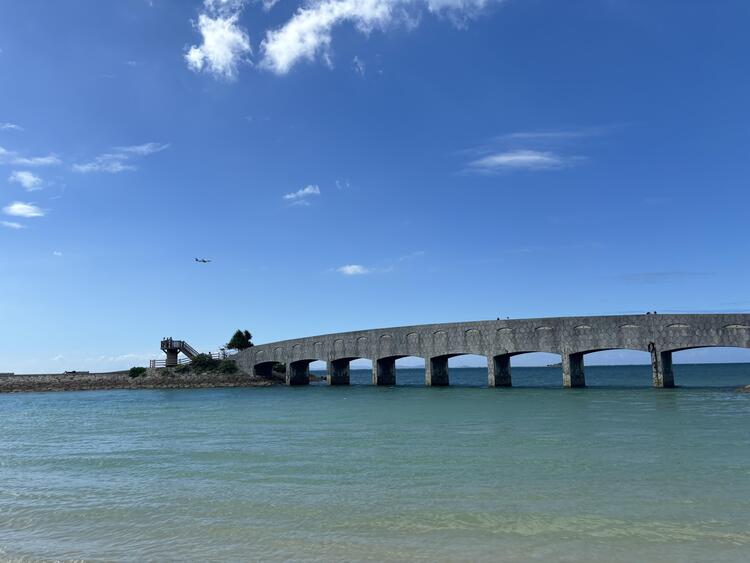 IMG_7382.jpeg