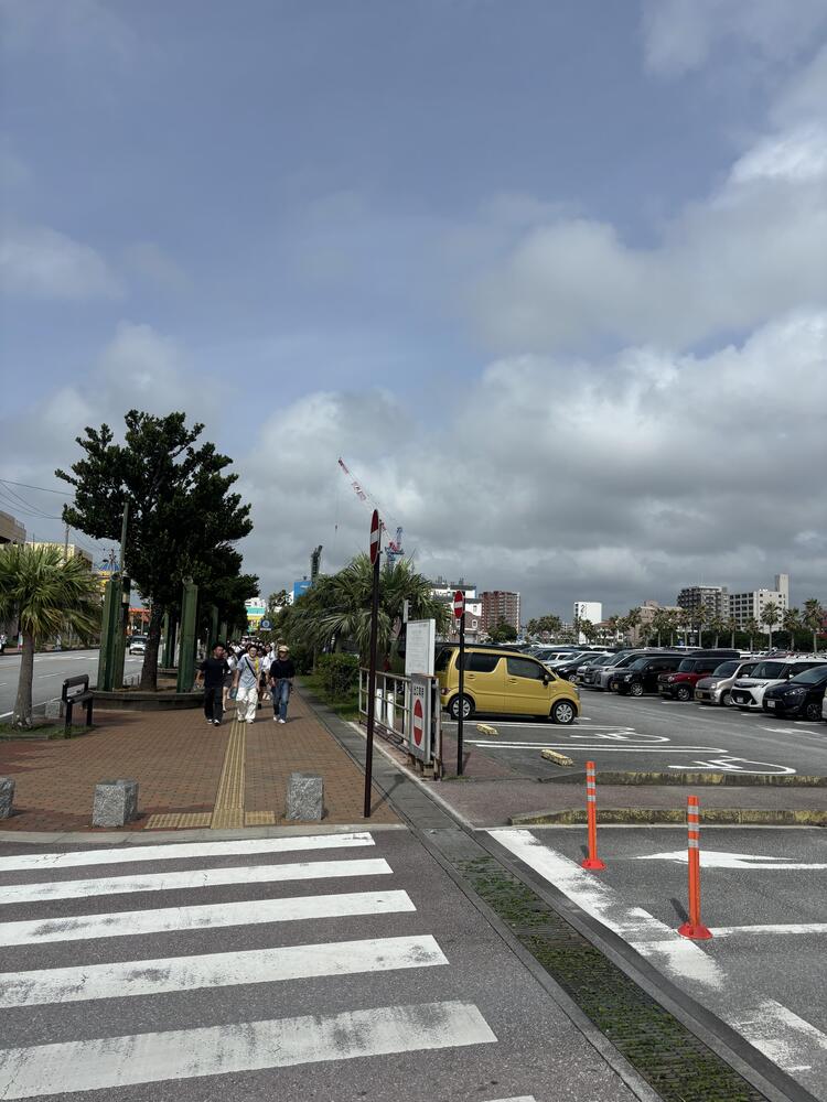 IMG_8367.jpeg