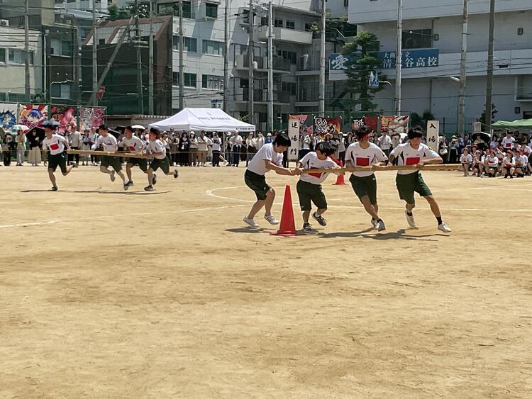 IMG_3779.jpeg