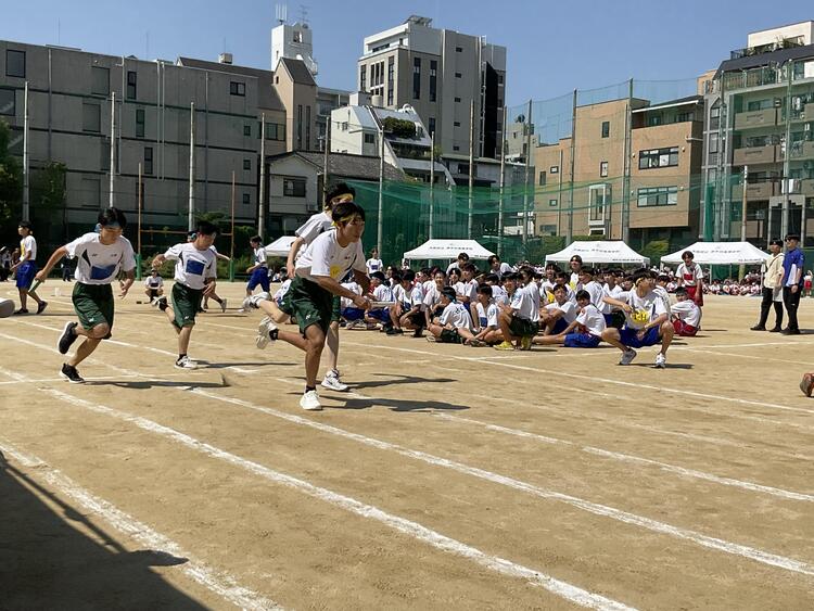 IMG_3745.jpeg