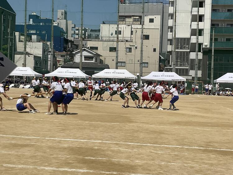 IMG_3752.jpeg