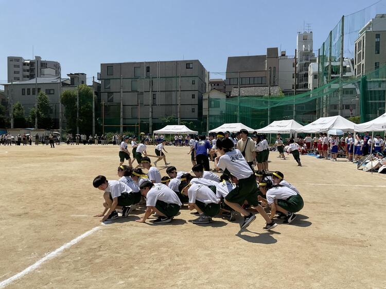 IMG_3783.jpeg