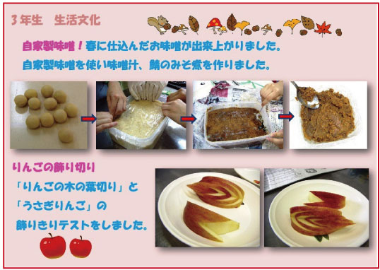 味噌リンゴ.jpg