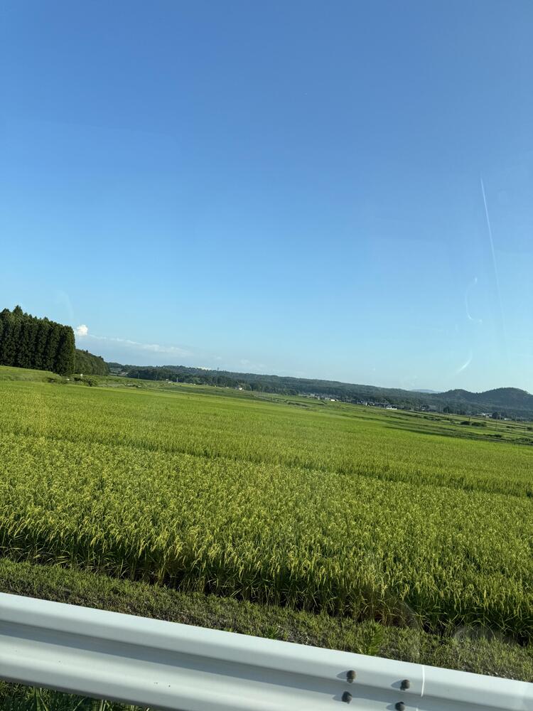 IMG_9360.jpeg