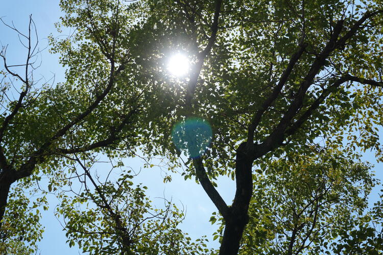 DSC00007.JPG