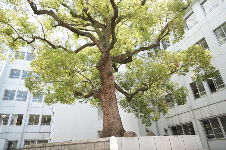 DSC01112.JPG