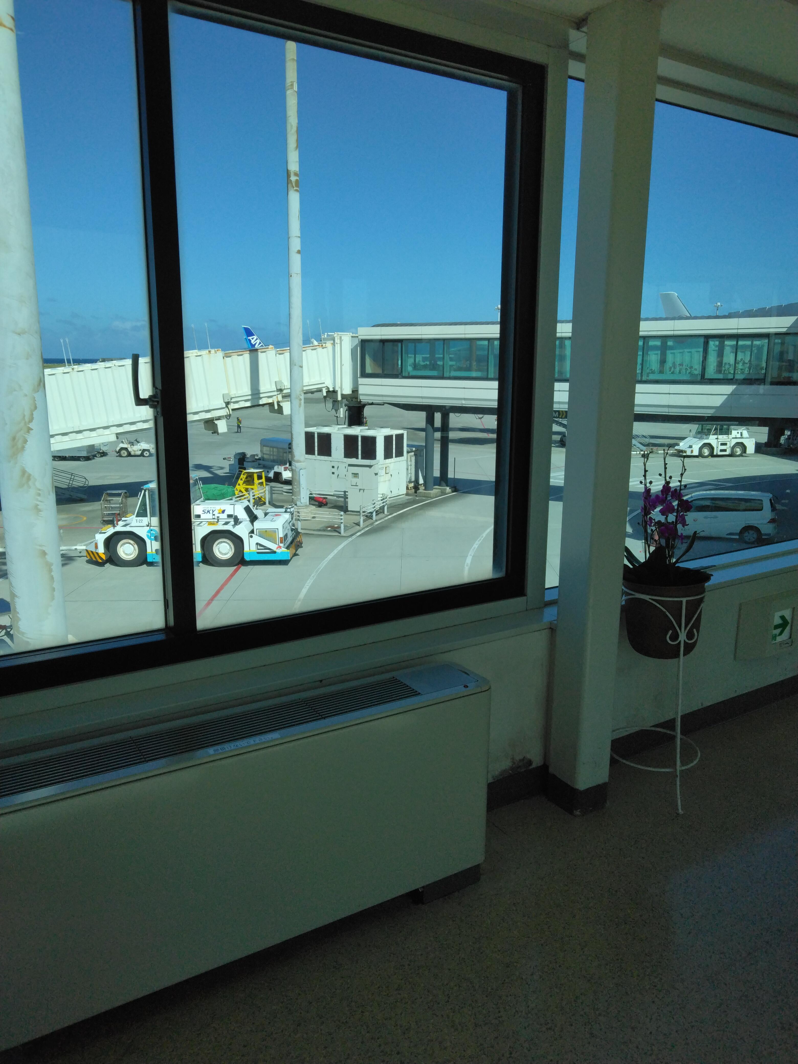 IMG_20241028_105246.jpg