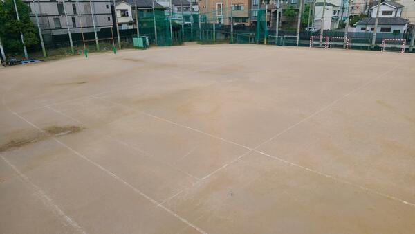 20230607_081855.jpg