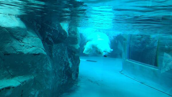 20231025_142537.jpg
