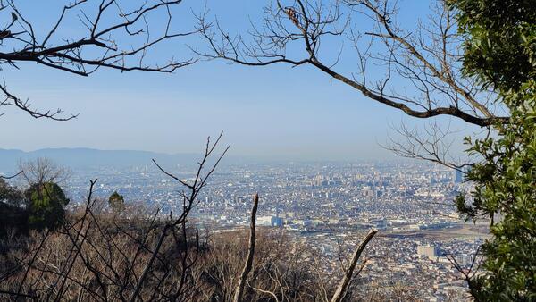 20240209_091711.jpg