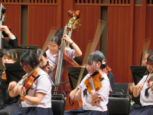 IMG_1596.JPG