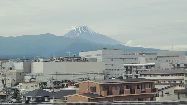 20240523_142128.jpg