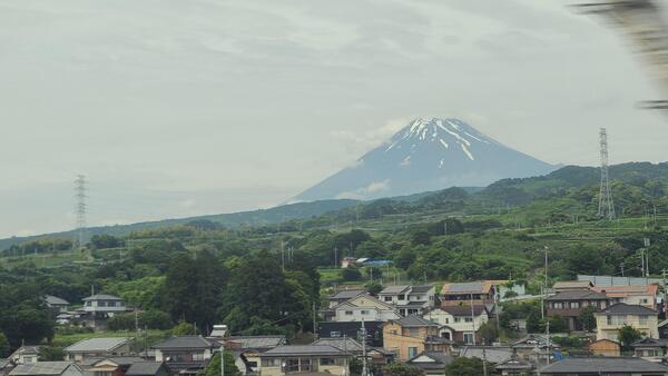 20240523_142505.jpg