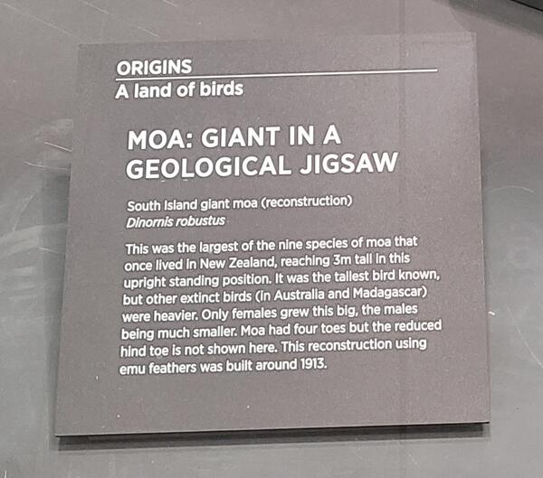 20240801_135246.jpg