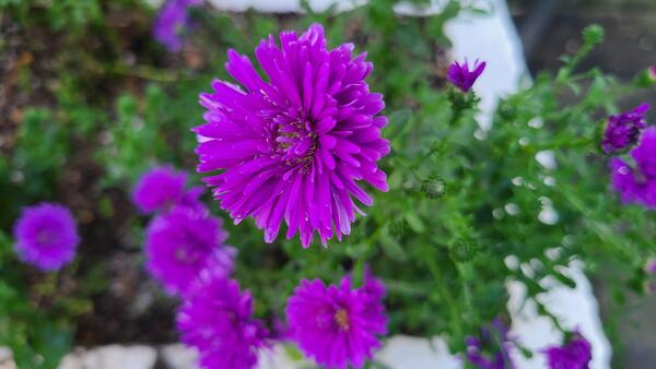 20241023_075350.jpg