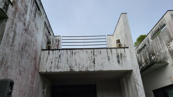 20241030_091532.jpg