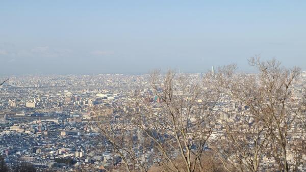 20250207_083957.jpg