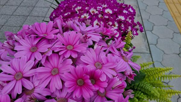 20250314_112507.jpg