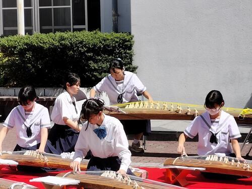 2025筝曲部文化祭2日目⑥.jpg
